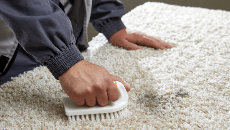 Professional Rug Cleaning Dendy