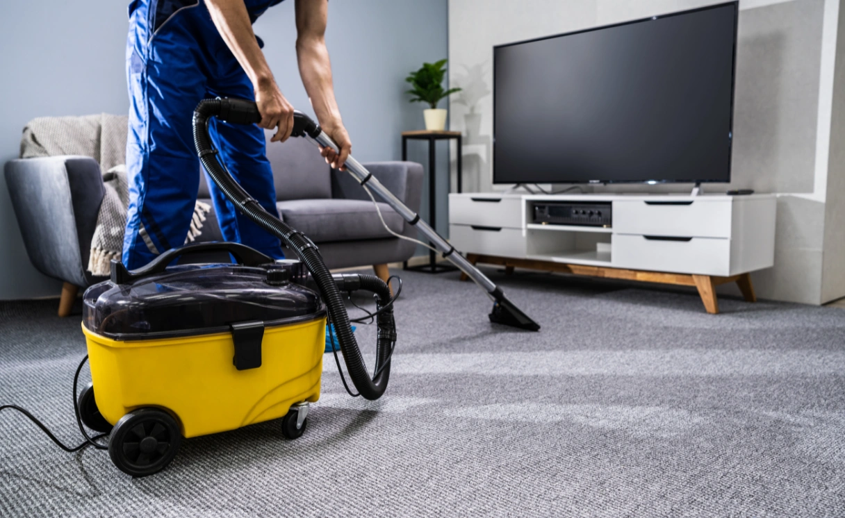 Extract Rug Cleaning Dendy Contact Office